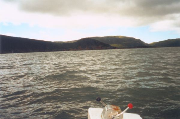 580: Red Island. "Part of the back part (Western side)". (2002) [courtesy of Heather Walsh]